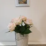 Jmj Apartmaji * Piran