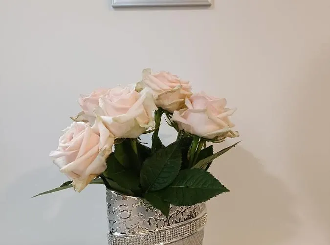 Jmj Apartmaji * Πιράν